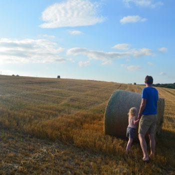 Typisch landschap in Dorset