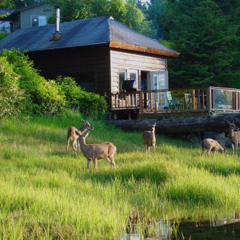 cabin bij Ucluelet