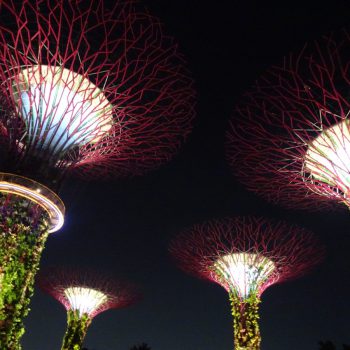 Super Tree Grove