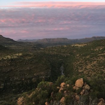 Bultfontein