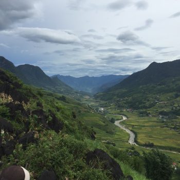 Sapa