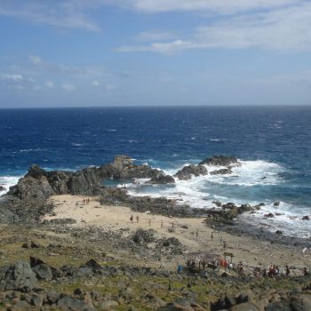 Natural pool