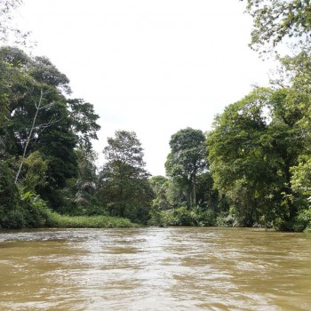 Varen door de kanalen van Tortuguero