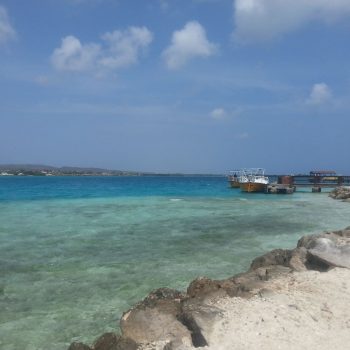 Palm Island