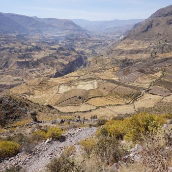 Colca Canyon 