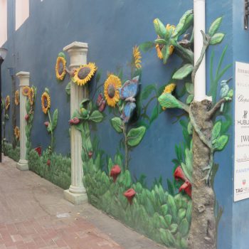 zomaar een straatje in Willemstad, heel leuk!