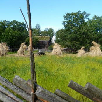 Skansen