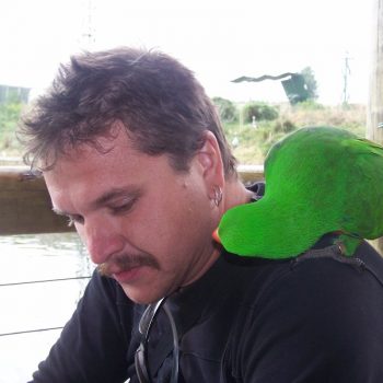 de vogels in park birds of eden