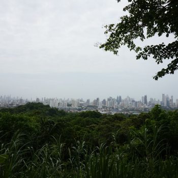 Uitzicht over de stad vanuit natuurpark