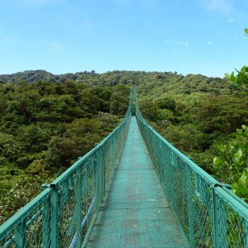 Canopywalk over bruggen in Monteverde