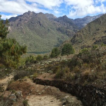 sierra nevada in Andes
