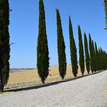 Val d'Orcia