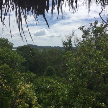 View from the top!