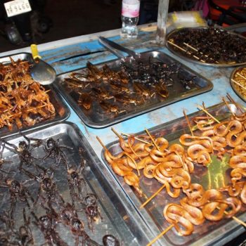 Voor de toeristen, slangen spinnen schorpioenen en krekels om te eten
