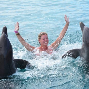 Dolphin Academy