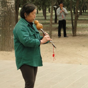 Vrouw in een groot park 