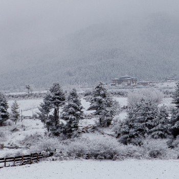 Sneeuw in de vallei