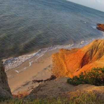 Kangaroo Island, zeker de moeite waard!