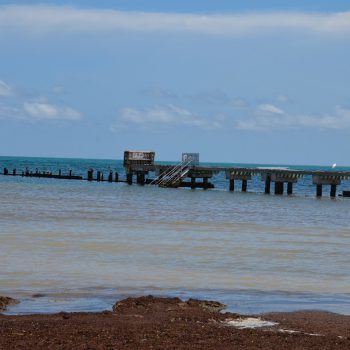 wier op het strand