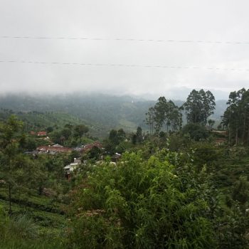 Uitzicht vanuit de trein