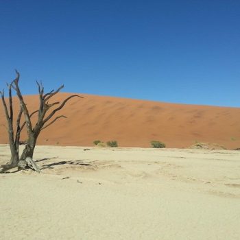 De death vlei in de namib desert