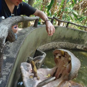 Chiang Mai Zoo 