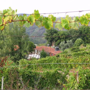 Agriturismo Pousadela