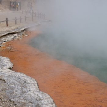 champagne lake