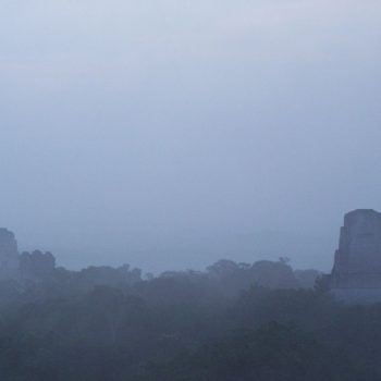 Het oerwoud wakker zien en horen worden vanaf een Maya tempel