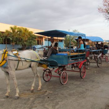 paardenkoetsjes in Bayamo