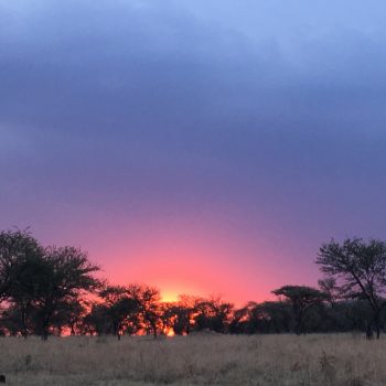 Zonsondergangen zijn waanzinnig!