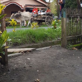 Landbouwers terug van werken op hun plantage