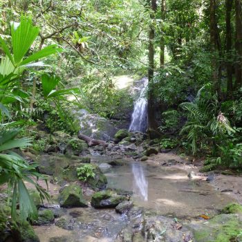 Waterval in Manuel Antonio National Park 