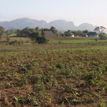 De vallei van Vinales