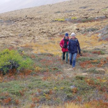 Gros Morne National Park Newfoundland 
