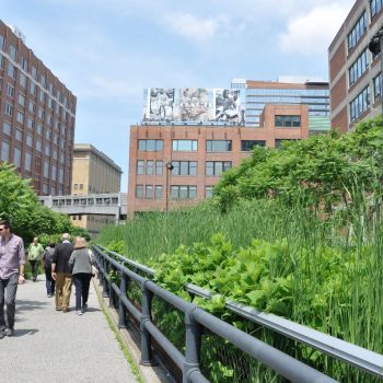 The high line