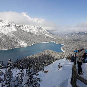 Peyto lake