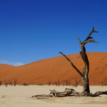 Deadvlei Namibia