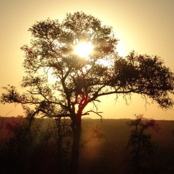 Zonsondergang