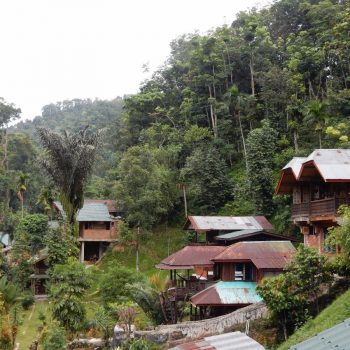Bukit Lawang 