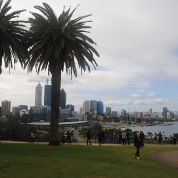 Kings park