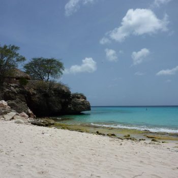 Grote knip