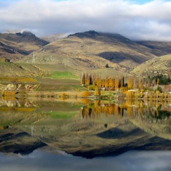 Wanaka