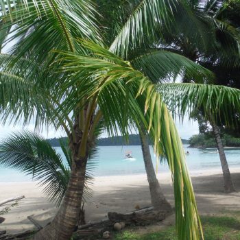 red frog beach
