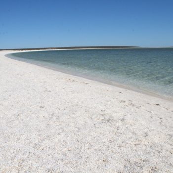 Shell beach