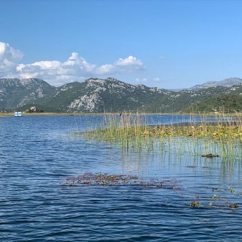 Skadar Lake