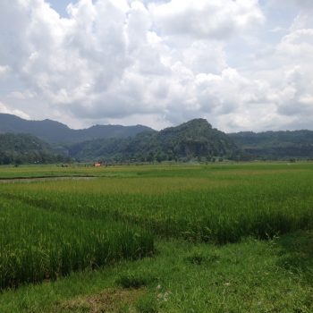 Harau Valley