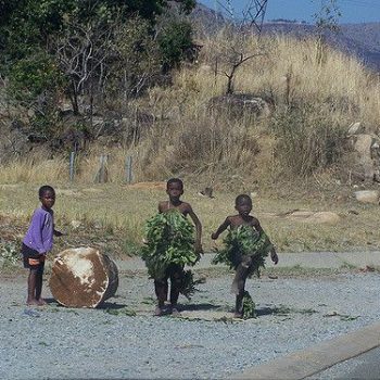 dansende kinderen onderweg in Swaziland