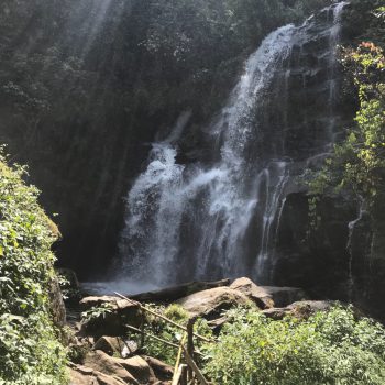 Natuur bij Chiang Mai