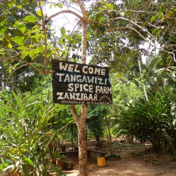 Spice Tour